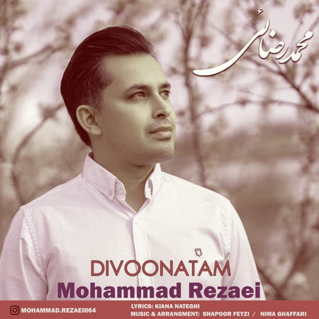 دانلود آهنگ جدید محمد رضائی به نام دیوونتم